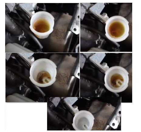 ファイル 167-1.jpg